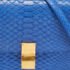 Celine Blue Python Medium Classic Box Shoulder Bag - Image 5