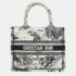 Christian Dior Book Tote Bag