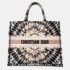 Dior Book Tote Bag