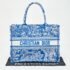 Dior Blue/White Embroidered Canvas Medium Toile de Jouy Book Tote - Image 10