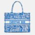 Dior Blue/White Embroidered Canvas Medium Toile de Jouy Book Tote