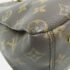 Louis Vuitton Aurore Brown Monogram Pallas Shoulder Bag - Image 5