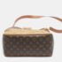 Louis Vuitton Monogram Reverse Hobo Dauphine MM Shoulder Bag - Image 6